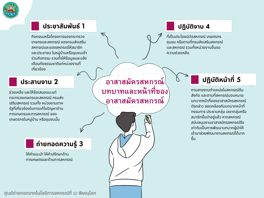 บทบาทหน้าที่