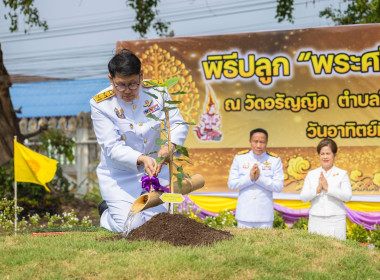 ร่วมกิจกรรมร่วมพิธีปลูก &quot;พระศรีมหาโพธิทศมราชบพิตร&quot; ... พารามิเตอร์รูปภาพ 6
