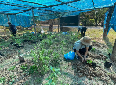 กิจกรรม 5 ส (สะสาง สะดวก สะอาด สุขลักษณะสร้างนิสัย) ... พารามิเตอร์รูปภาพ 19