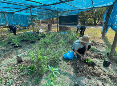 กิจกรรม 5 ส (สะสาง สะดวก สะอาด สุขลักษณะสร้างนิสัย) ... พารามิเตอร์รูปภาพ 20