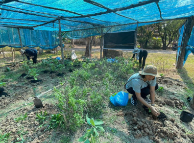 กิจกรรม 5 ส (สะสาง สะดวก สะอาด สุขลักษณะสร้างนิสัย) ... พารามิเตอร์รูปภาพ 21