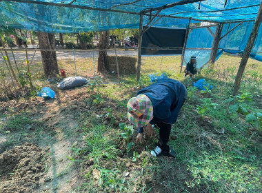 กิจกรรม 5 ส (สะสาง สะดวก สะอาด สุขลักษณะสร้างนิสัย) ... พารามิเตอร์รูปภาพ 23