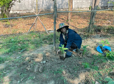 กิจกรรม 5 ส (สะสาง สะดวก สะอาด สุขลักษณะสร้างนิสัย) ... พารามิเตอร์รูปภาพ 24