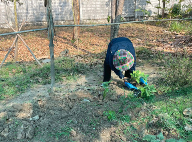 กิจกรรม 5 ส (สะสาง สะดวก สะอาด สุขลักษณะสร้างนิสัย) ... พารามิเตอร์รูปภาพ 25