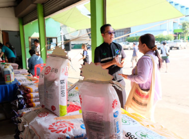 ลงพื้นที่ถ่ายทำวิดีทัศน์เพื่อประชาสัมพันธ์การดำเนินงานของสหกรณ์การเกษตรบ้านหลวง จำกัด อำเภอบ้านหลวง จังหวัดน่าน ... พารามิเตอร์รูปภาพ 11