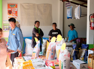 ลงพื้นที่ถ่ายทำวิดีทัศน์เพื่อประชาสัมพันธ์การดำเนินงานของสหกรณ์การเกษตรบ้านหลวง จำกัด อำเภอบ้านหลวง จังหวัดน่าน ... พารามิเตอร์รูปภาพ 7