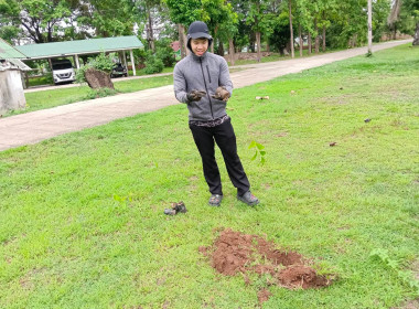 กิจกรรมครั้งนี้มีวัตถุประสงค์เพื่อเพิ่มพื้นที่สีเขียว ... พารามิเตอร์รูปภาพ 14