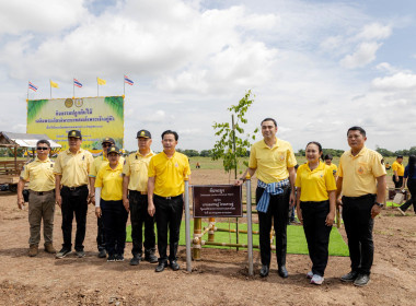 กิจกรรมปลูกต้นไม้เฉลิมพระเกียรติพระบาทสมเด็จพระเจ้าอยู่หัว ... พารามิเตอร์รูปภาพ 13