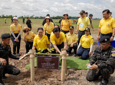 กิจกรรมปลูกต้นไม้เฉลิมพระเกียรติพระบาทสมเด็จพระเจ้าอยู่หัว ... พารามิเตอร์รูปภาพ 12