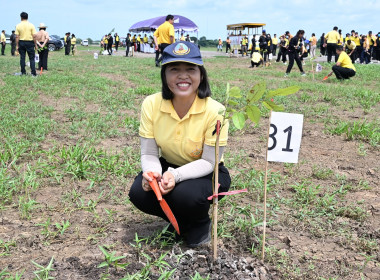 กิจกรรมปลูกต้นไม้เฉลิมพระเกียรติพระบาทสมเด็จพระเจ้าอยู่หัว ... พารามิเตอร์รูปภาพ 19
