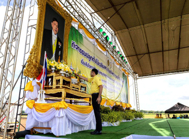 กิจกรรมปลูกต้นไม้เฉลิมพระเกียรติพระบาทสมเด็จพระเจ้าอยู่หัว ... พารามิเตอร์รูปภาพ 2