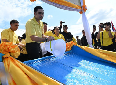 กิจกรรมปลูกต้นไม้เฉลิมพระเกียรติพระบาทสมเด็จพระเจ้าอยู่หัว ... พารามิเตอร์รูปภาพ 22