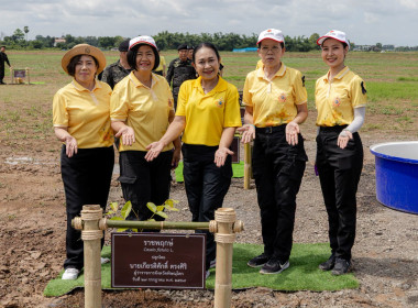 กิจกรรมปลูกต้นไม้เฉลิมพระเกียรติพระบาทสมเด็จพระเจ้าอยู่หัว ... พารามิเตอร์รูปภาพ 25