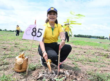 กิจกรรมปลูกต้นไม้เฉลิมพระเกียรติพระบาทสมเด็จพระเจ้าอยู่หัว ... พารามิเตอร์รูปภาพ 23