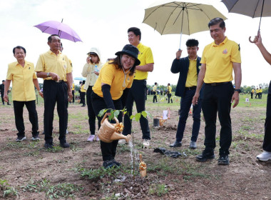 กิจกรรมปลูกต้นไม้เฉลิมพระเกียรติพระบาทสมเด็จพระเจ้าอยู่หัว ... พารามิเตอร์รูปภาพ 24