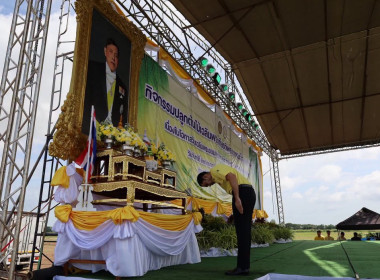 กิจกรรมปลูกต้นไม้เฉลิมพระเกียรติพระบาทสมเด็จพระเจ้าอยู่หัว ... พารามิเตอร์รูปภาพ 1