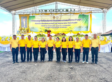 กิจกรรมปลูกต้นไม้เฉลิมพระเกียรติพระบาทสมเด็จพระเจ้าอยู่หัว ... พารามิเตอร์รูปภาพ 27